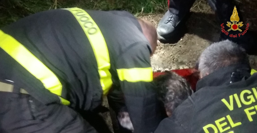 Venezia, salvati un cacciatore ed il suo cane caduti in una vasca di decantazione