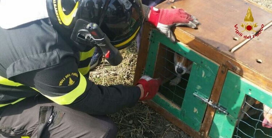 Crotone, incidente stradale nel comune di Isola Capo Rizzuto