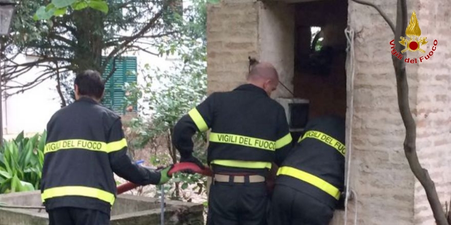 Ancona, salvato un felino caduto in un pozzo