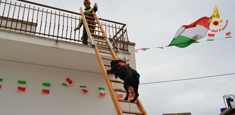 Lecce, concorso grafico dedicato ai Vigili del Fuoco