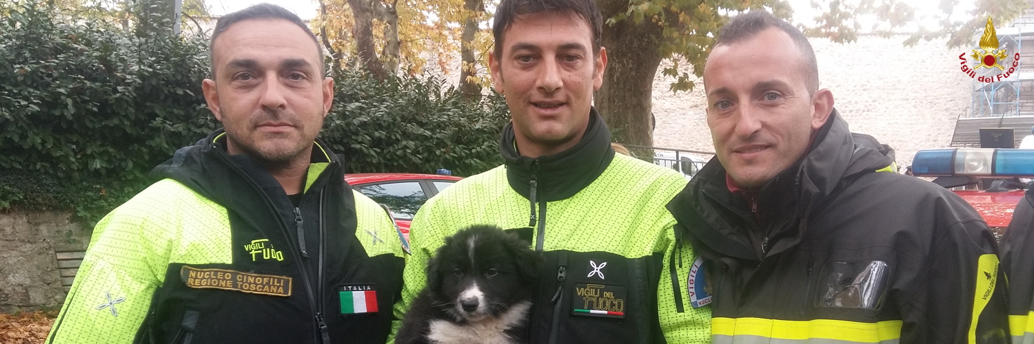 Perugia, i Vigili del Fuoco salvano oltre 70 animali domestici nella zona rossa di Norcia