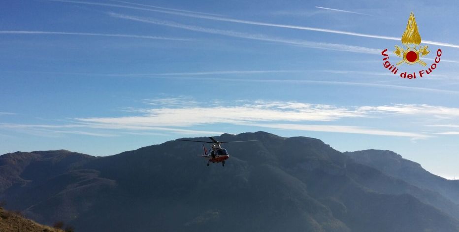 Cuneo, salvati vitellino e mucca caduti in un dirupo