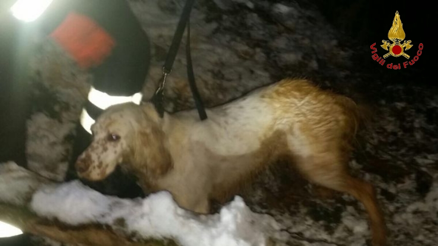 Varese, salvato un cane finito in un crepaccio nel comune di Lavena Ponte Tresa