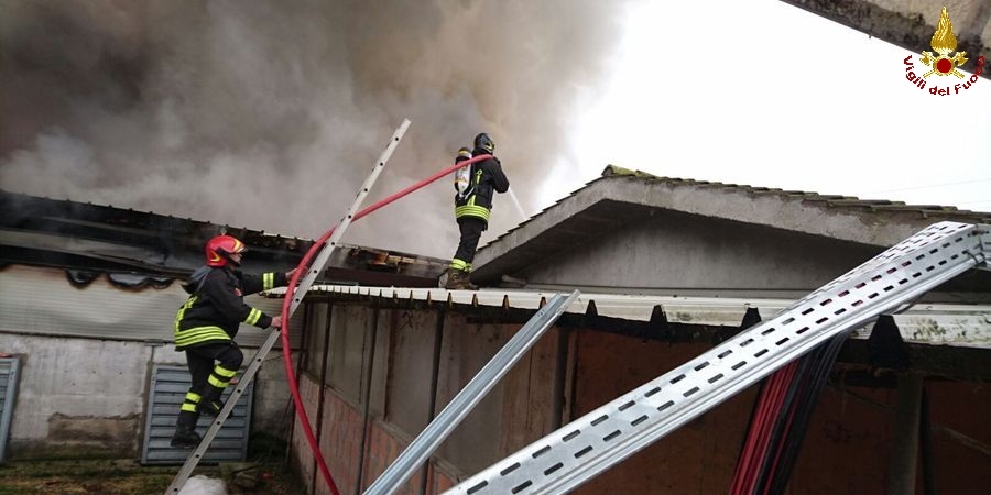 Teramo, incendio allevamento di galline