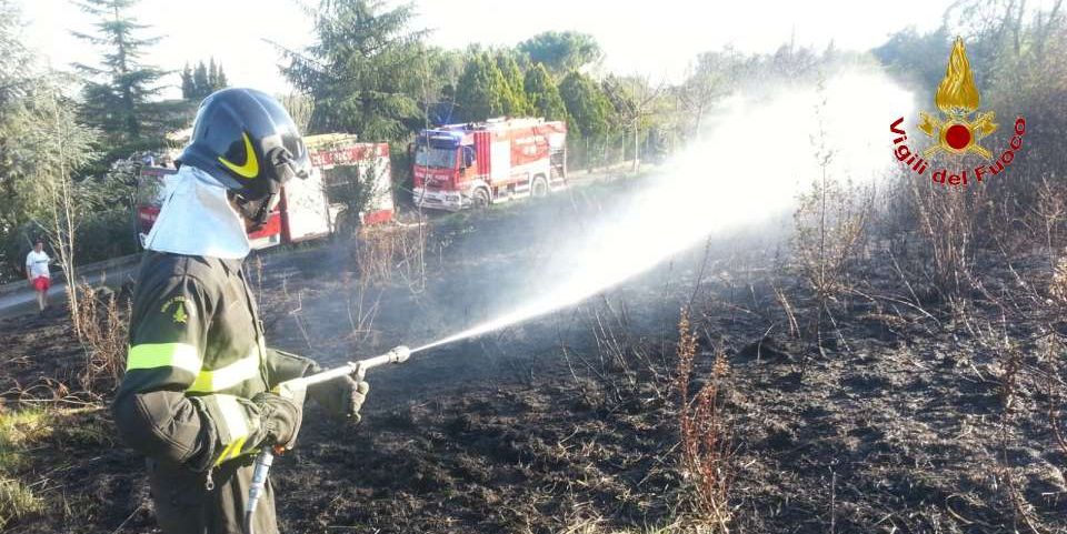 Macerata, a fuoco una vasta zona ricoperta di sterpaglie