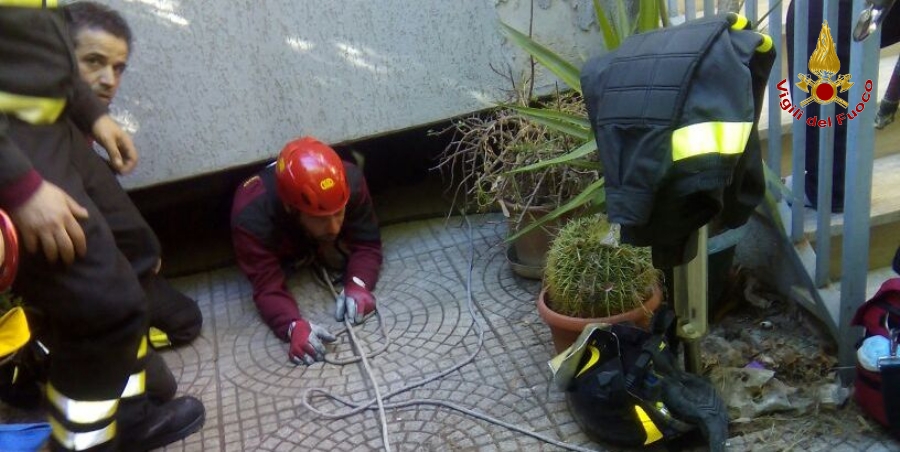 Foggia, recuperato un gatto ferito caduto all'interno di un'intercapedine