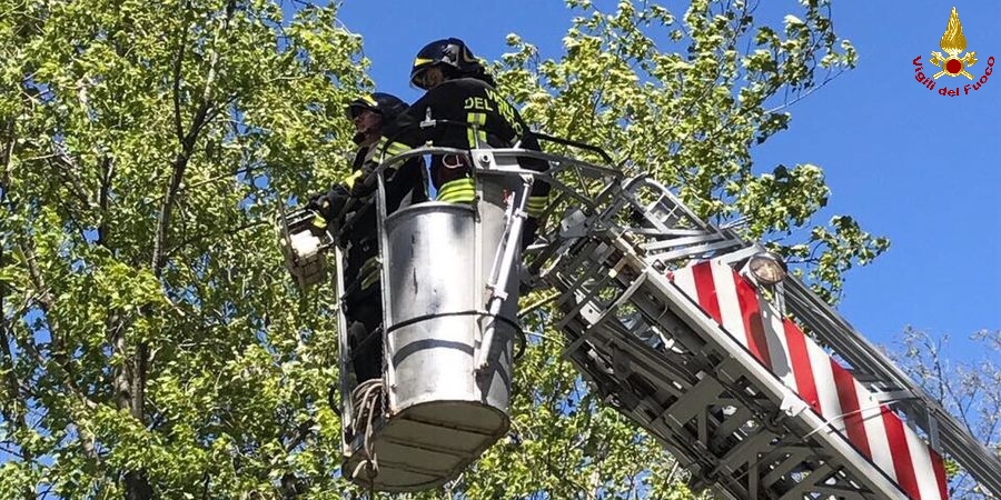 Varese, maltempo si abbatte sulla provincia