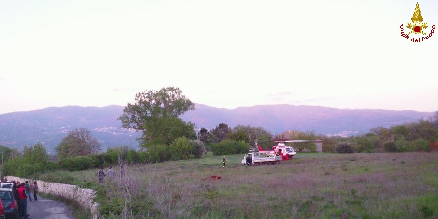Cosenza, salvato un vitello a Carolei