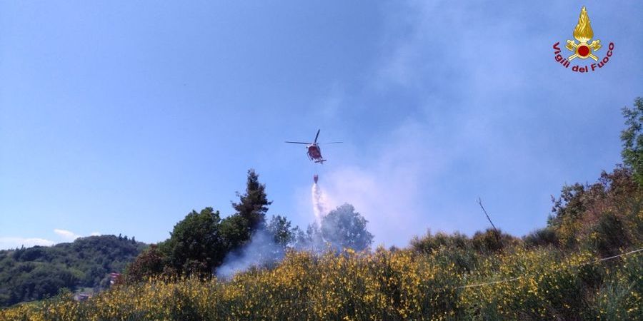 Pesaro Urbino, incendio vegetazione