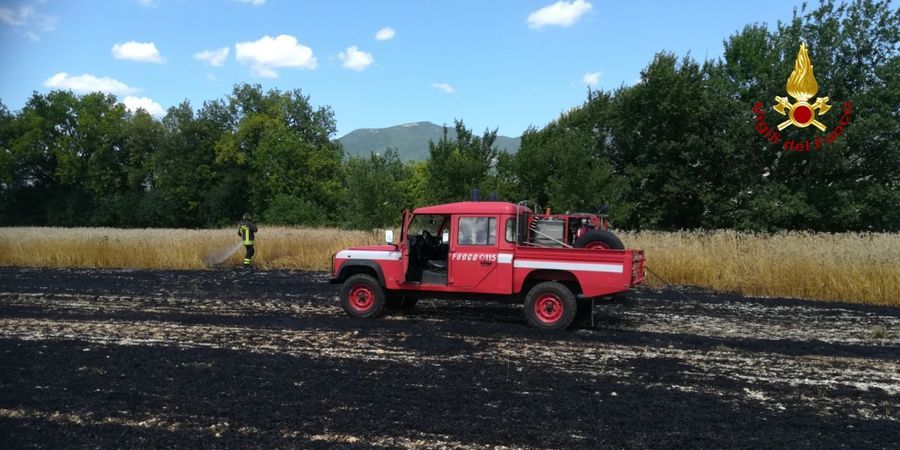 Ancona, incendio in un campo di orzo