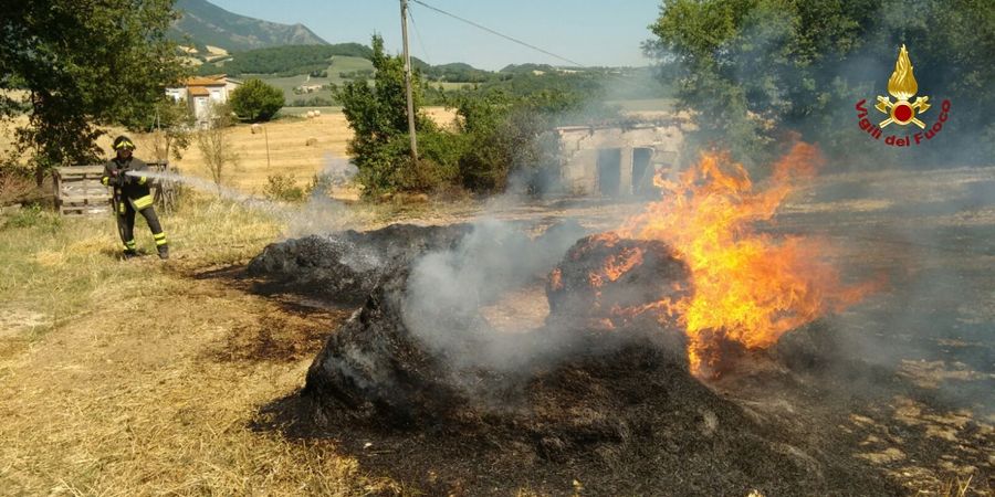Ancona, incendio di un campo di grano
