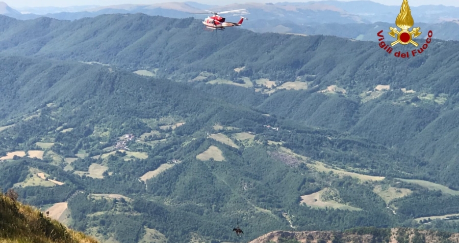 Pesaro Urbino, soccorsa una cavalla sul monte Nerone
