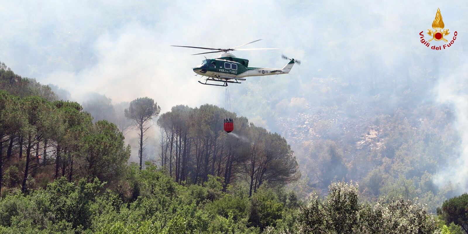 Comunicato congiunto lotta attiva AIB