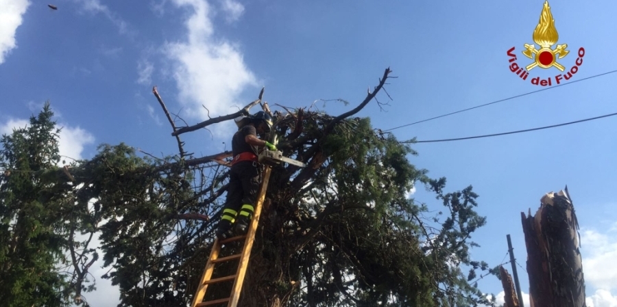 Ancona, numerosi interventi a seguiti del maltempo