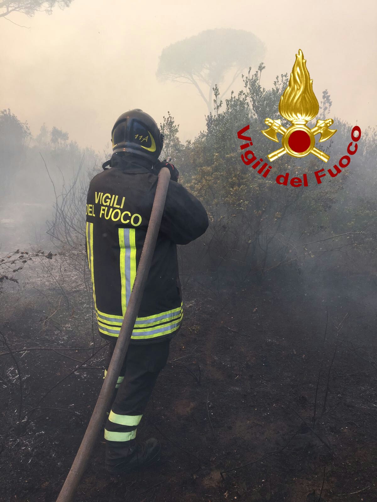 Aggiornamento al 25/07/2017