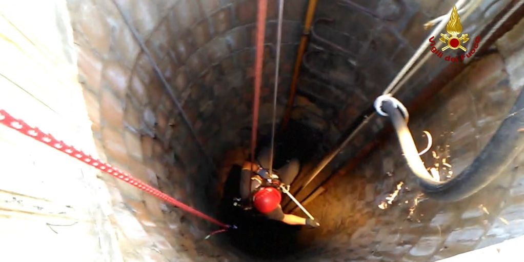 Ancona, recupero felino caduto accidentalmente in un pozzo asciutto