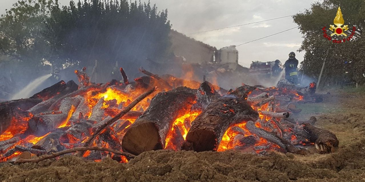 Ancona, a fuoco un grossa catasta di legname nel comune di Serra de Conti