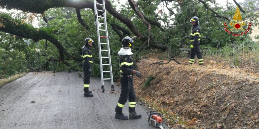 Ancona, due diversi interventi dei Vigili del fuoco