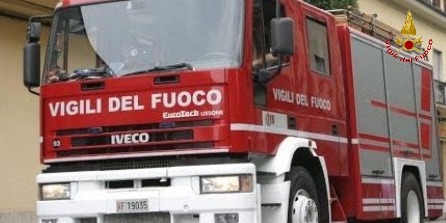 Genova, salvata una capra da montagna