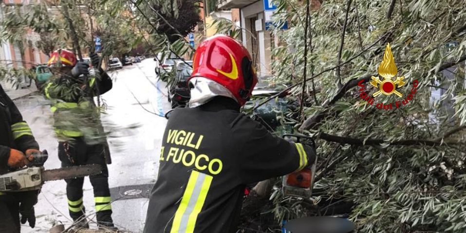 Ancona, caduta alberi causa maltempo a Falconara M.ma