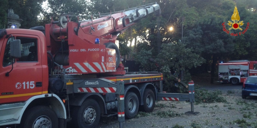 Roma, rimosso albero di alto fusto che si era abbattuto sulla sede stradale nel Parco del Colle Oppio