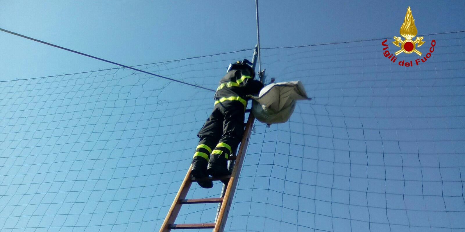 Genova, recuperato un rapace rimasto impigliato in una rete di recinzione