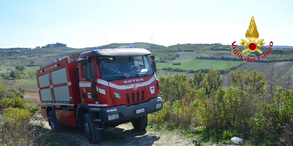 Palermo, salvato un cane all'interno di una cavità naturale nel comune di Baucina