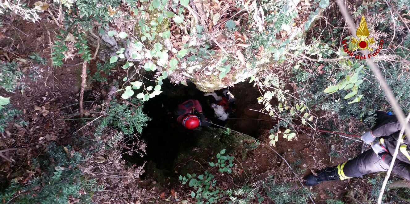 Vicenza, salvato un cane finito accidentalmente in un crepaccio