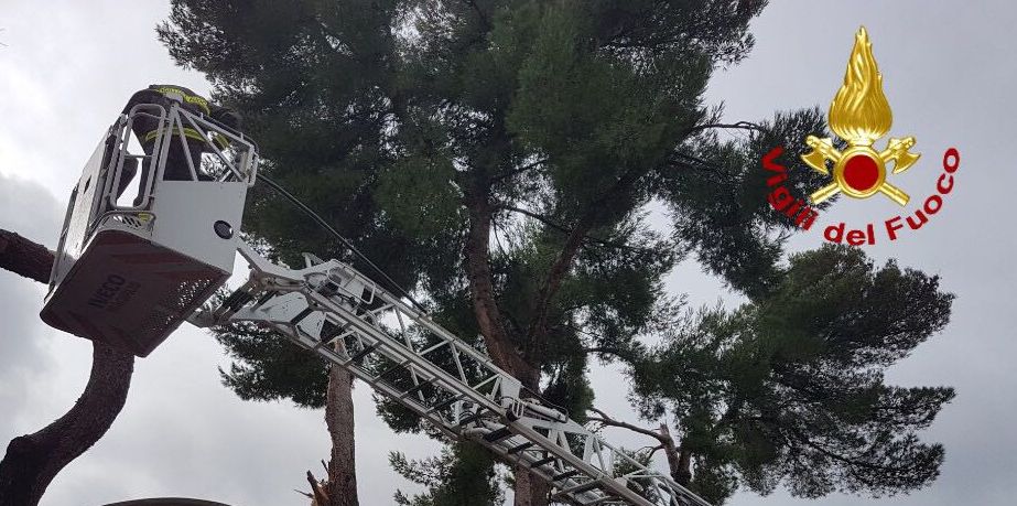 Toscana, numerosi interventi dei Vigili del fuoco a causa del maltempo