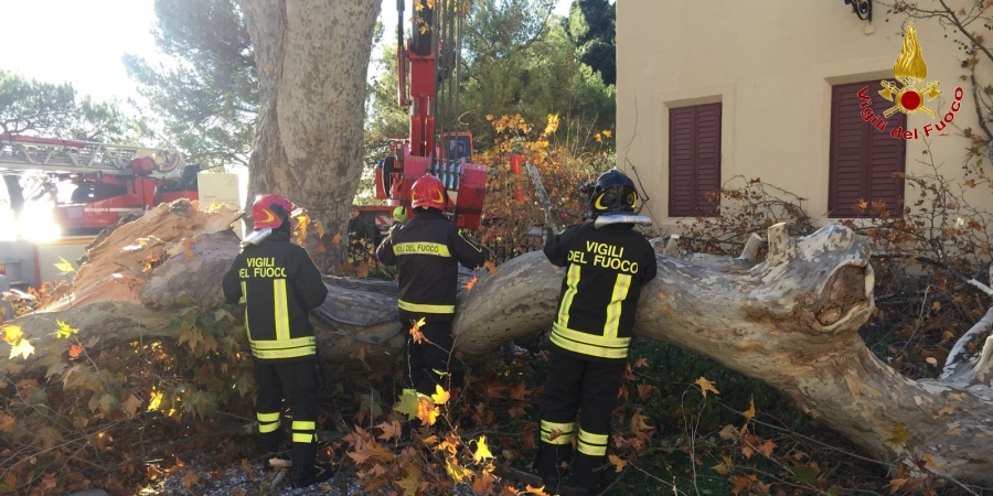 Trieste, prosegue il lavoro dei Vigili del fuoco a causa del maltempo