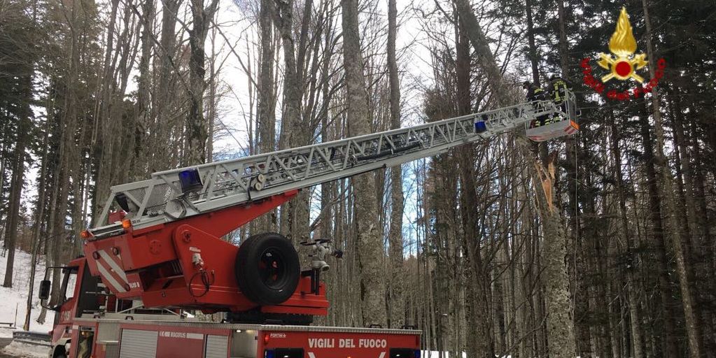 Pistoia, i Vigili del fuoco impegnati a fronteggiare l'emergenza maltempo