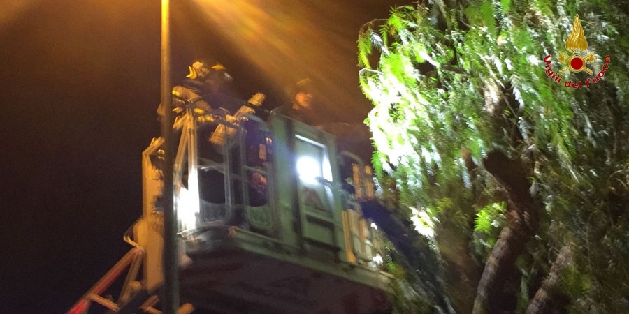 Roma, effettuati numerosi interventi a causa delle avverse condizioni meteo