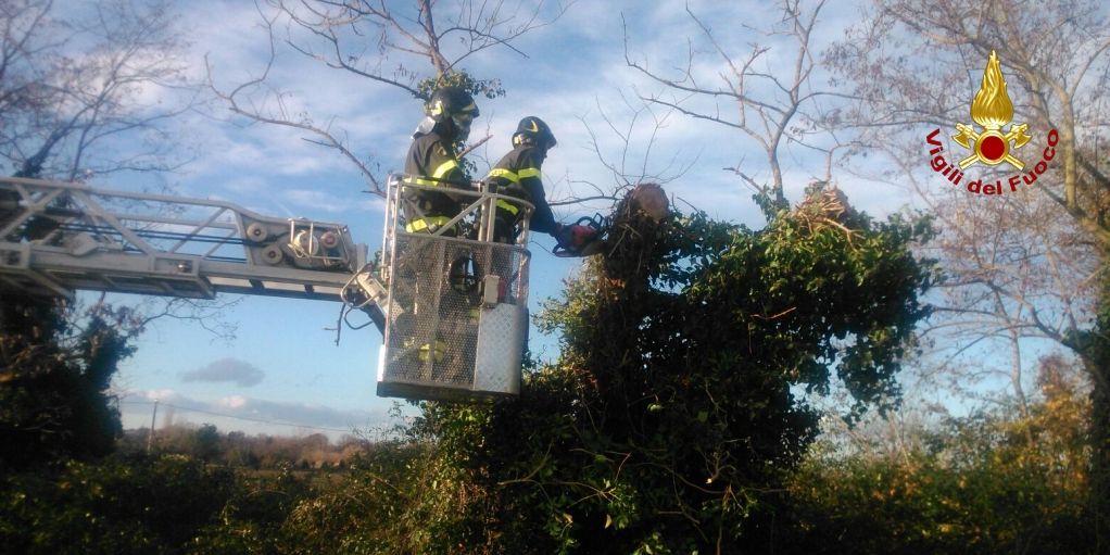 Ancona, due diversi interventi dei Vigili del fuoco in comuni della provincia