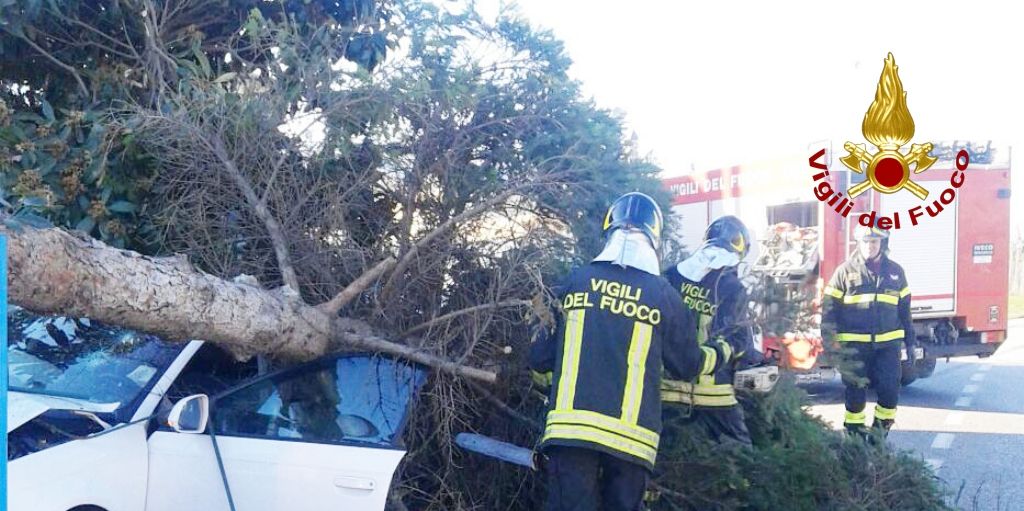 Ancona, diversi interventi dei Vigili del fuoco nella provincia