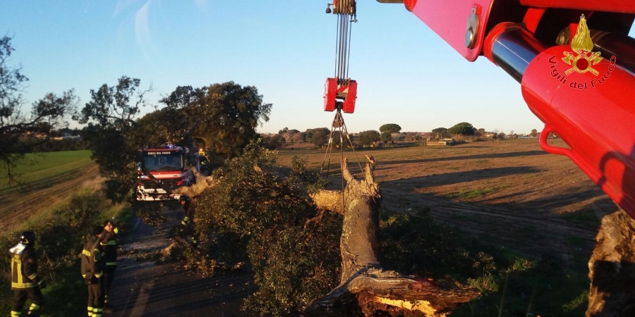 Roma, numerosi interventi dei Vigili del fuoco a causa del maltempo