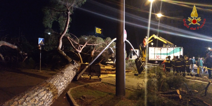 Roma, cadono tre alberi nel quartiere Prati