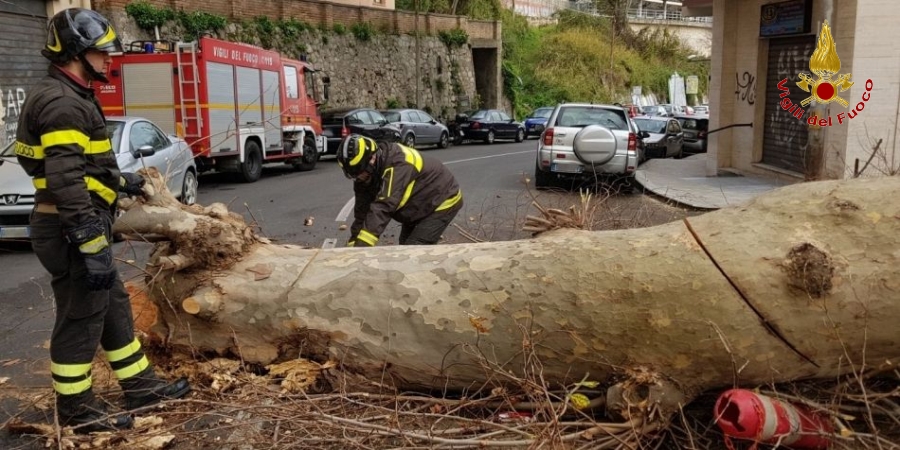 Catanzaro, continua l'emergenza maltempo soprattutto a causa del forte vento