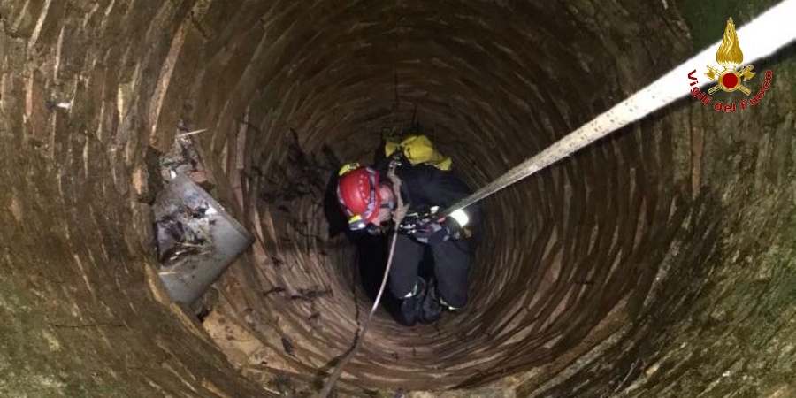 Pescara, salvato un cane caduto in un pozzo profondo circa venti metri