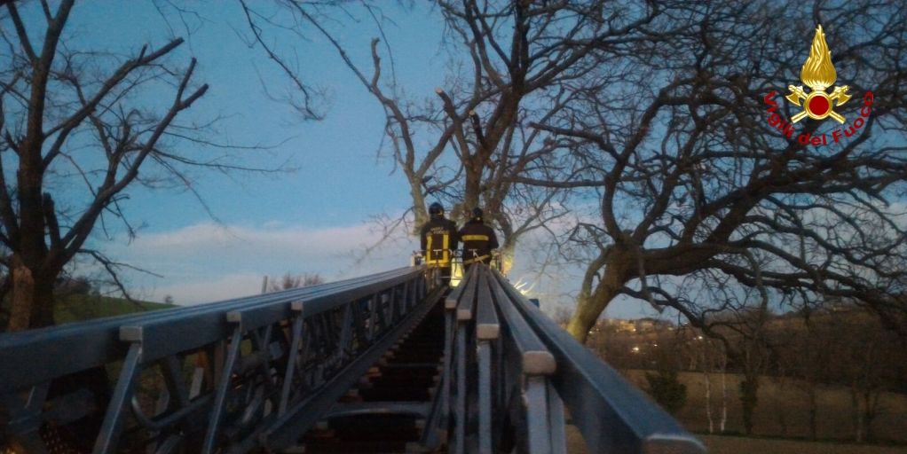 Ancona, numerosi interventi per le forti rafiche di vento in tutta la provincia