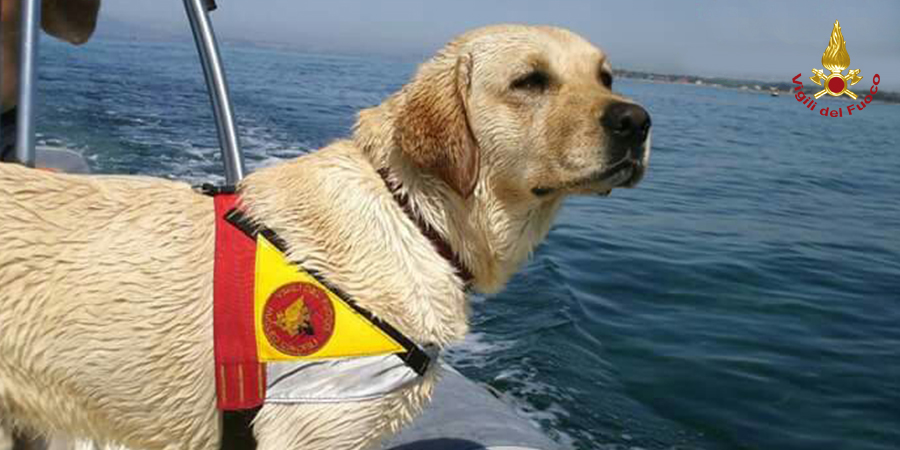 Cagliari: l'ultimo saluto a Blu