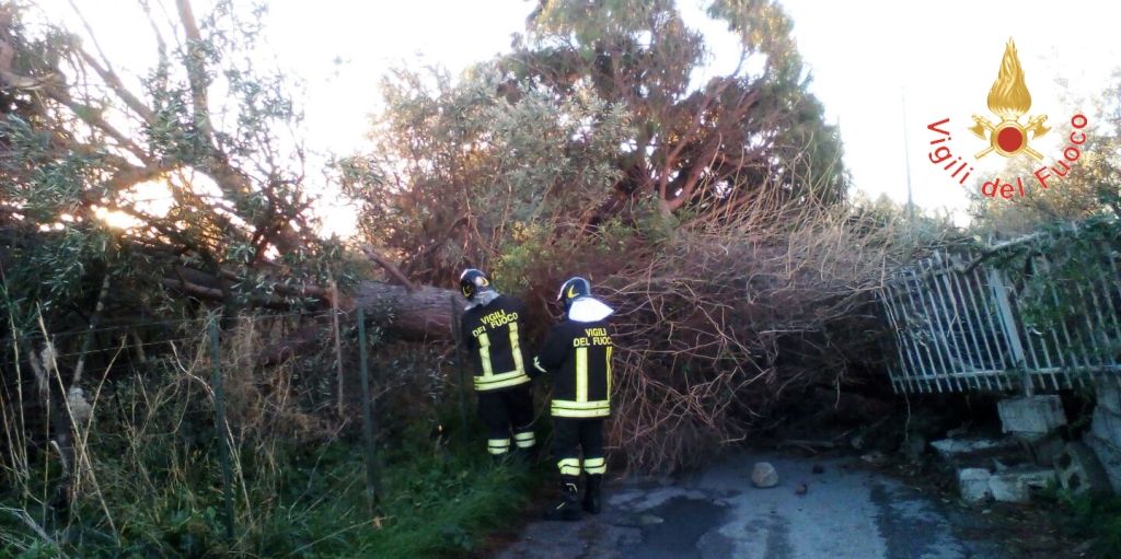 Catanzaro, continua l'opera dei Vigili del fuco per fronteggiare il maltempo