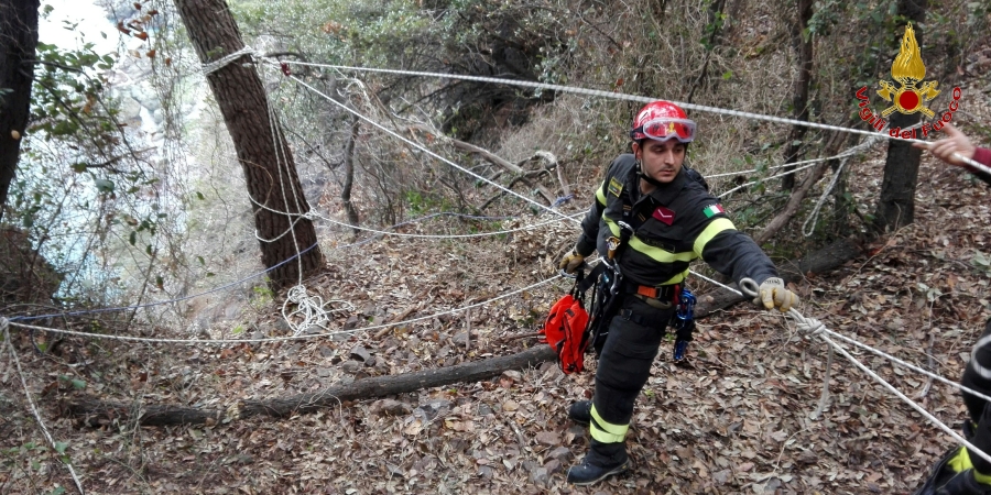 recuperata una muta di segugi maremmani finita in un dirupo