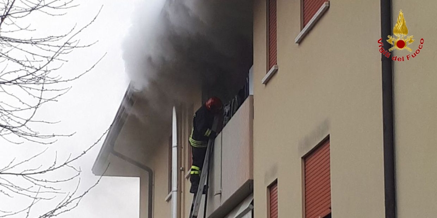 Padova, salvato dalle fiamme un American Staffordshire a Montegrotto Terme