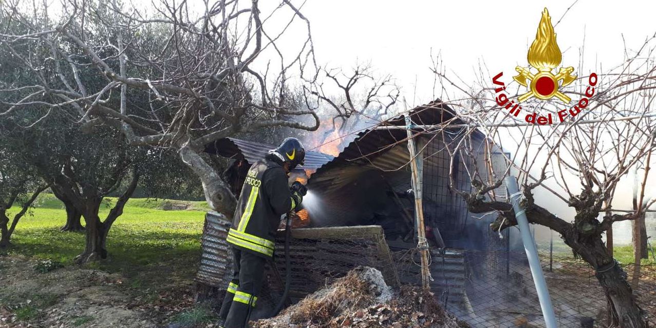 Ancona, incendio legnaia nel comune di Filottrano