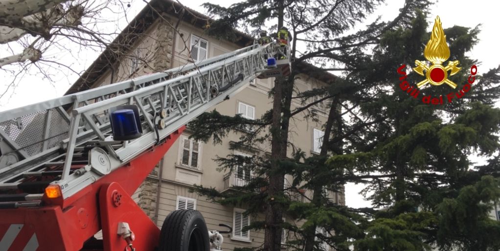 Trieste, i Vigili del fuoco impegnati a fronteggiare l'emergenza maltempo