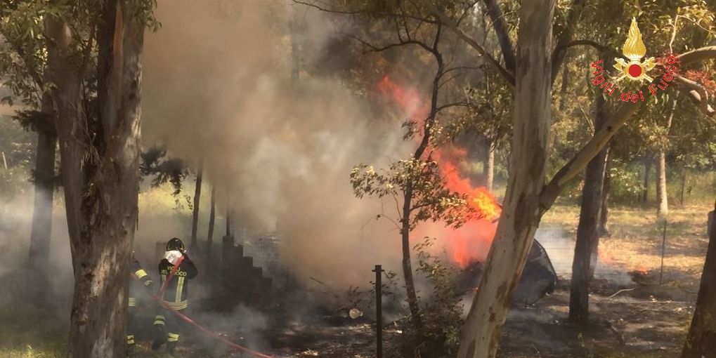 Catanzaro, incendio nella pineta di Sellia Marina