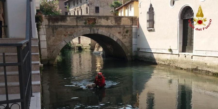Venezia, duplice intervento dei Vigili del Fuoco sul territorio