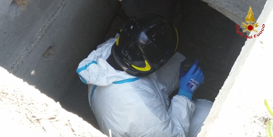 Catanzaro, salvati nove cuccioli di cane finiti all'interno di un cunicolo