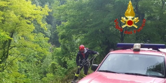 Lecco, salvataggio di un cane in località Bonacina