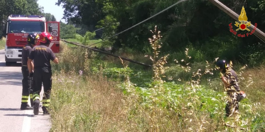 Ancona, rimosso albero caduto sulla sede stradale a Senigallia